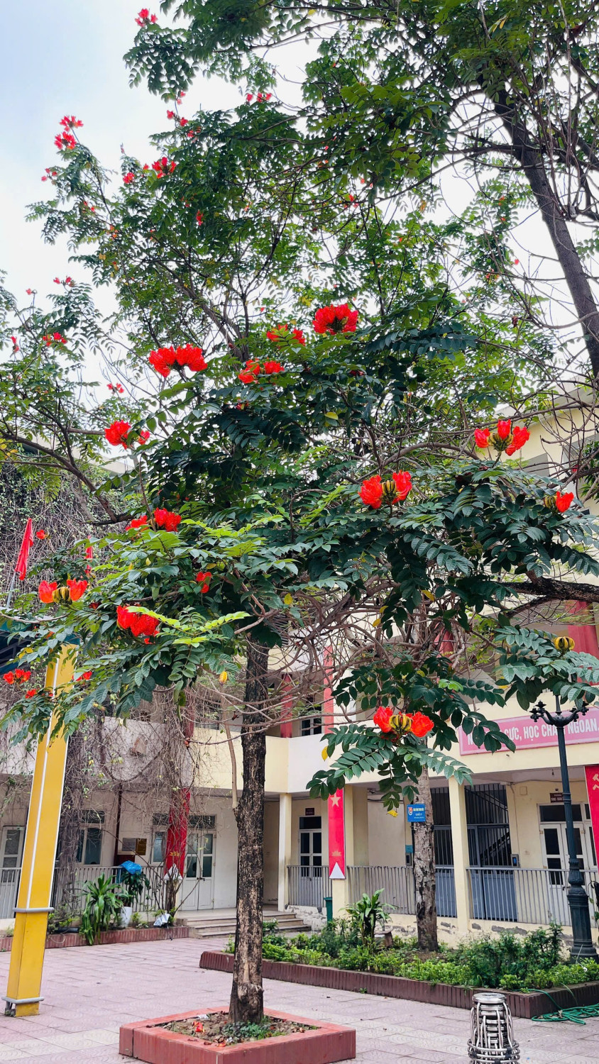 gen h z7582427730951 4fd49a68d05bfdecef1384b63d3ce5ac